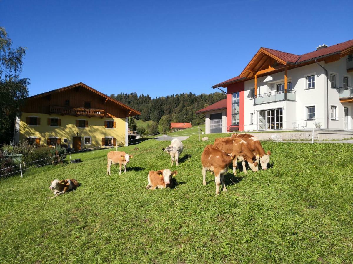 Fitzlhof Apartment Sankt Koloman Exterior foto
